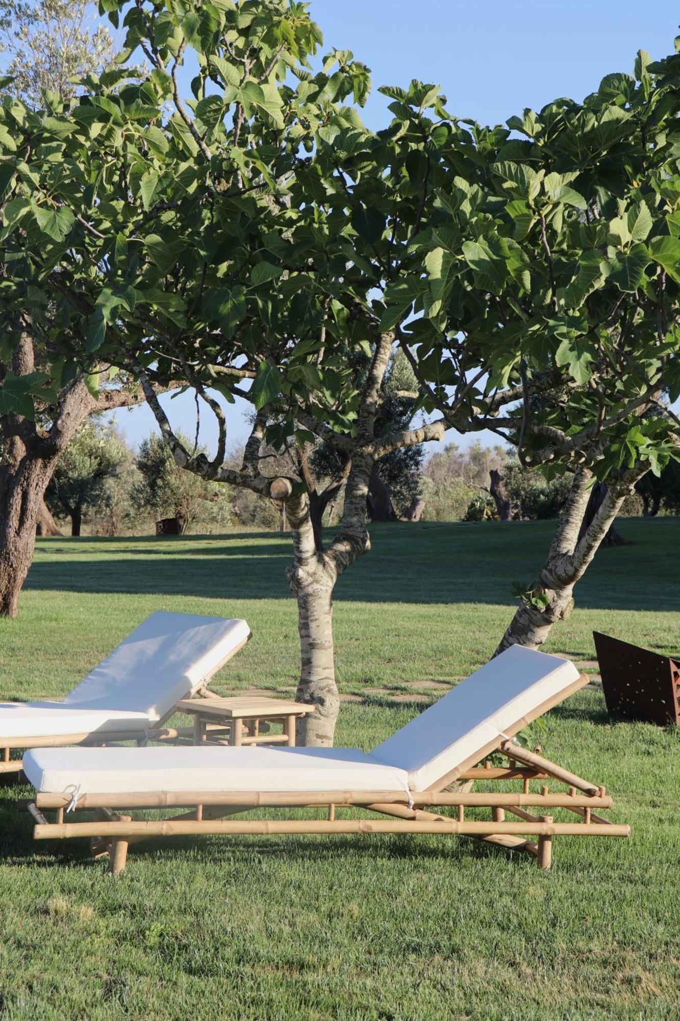 Secolario Masseria Del Viverbene Palmariggi エクステリア 写真