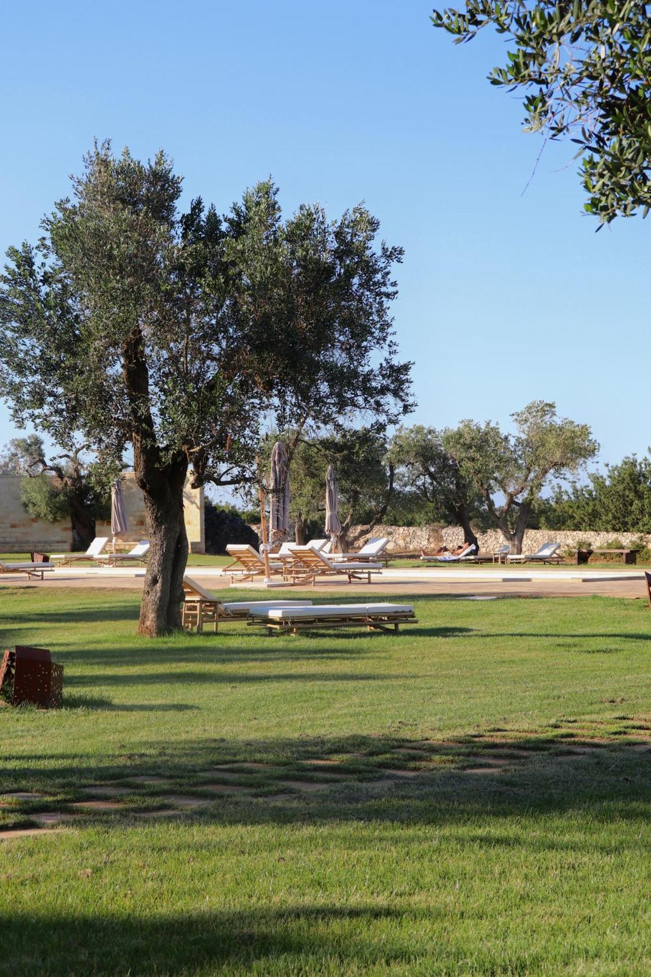 Secolario Masseria Del Viverbene Palmariggi エクステリア 写真